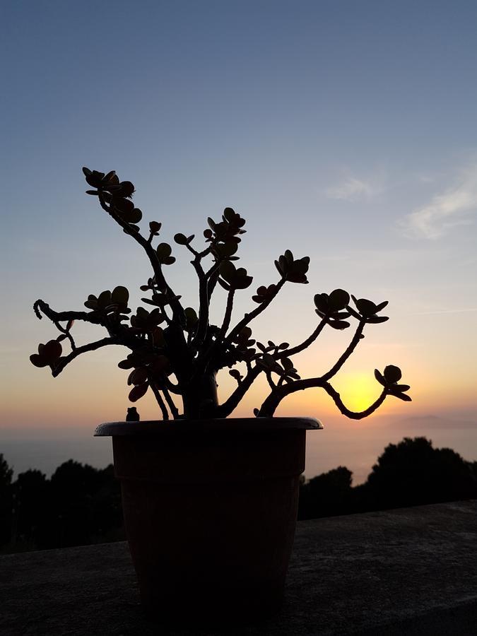 Il Rifugio B&B Capri Anacapri  Buitenkant foto