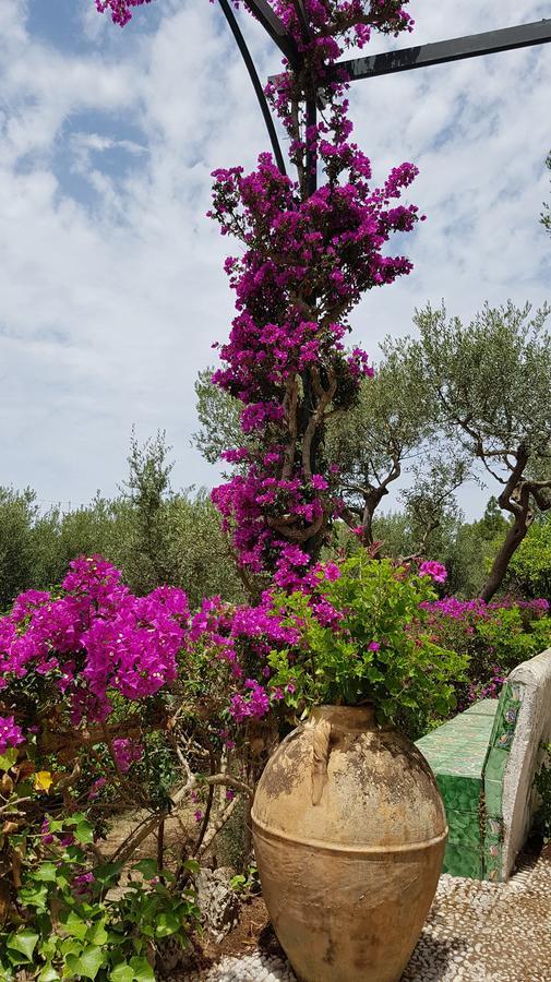 Il Rifugio B&B Capri Anacapri  Buitenkant foto