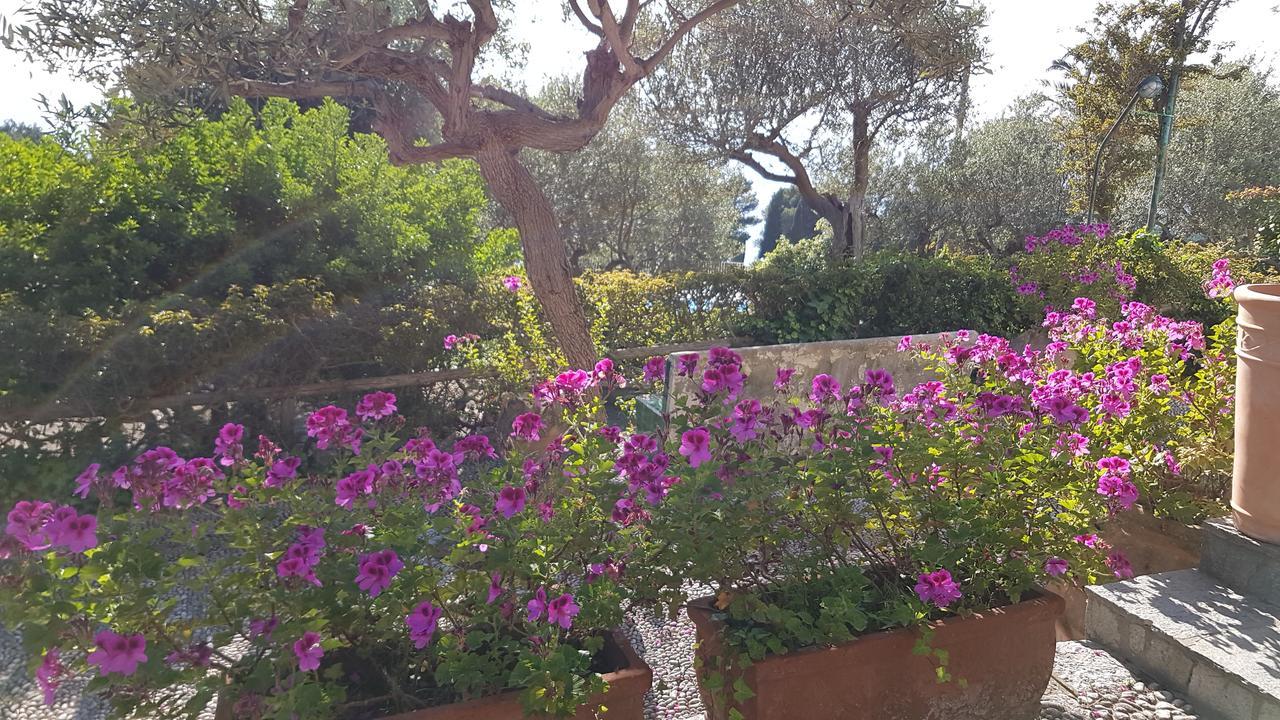Il Rifugio B&B Capri Anacapri  Buitenkant foto